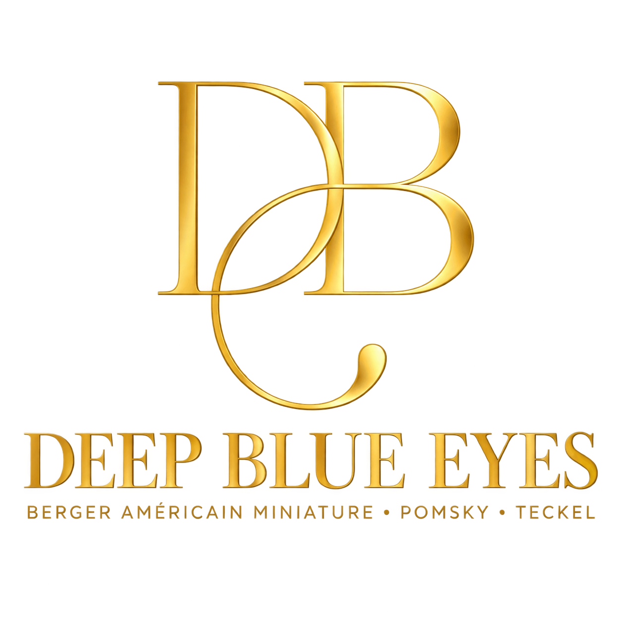 logo main